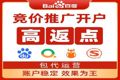 某行业巨头背后的SEM代运营服务公司